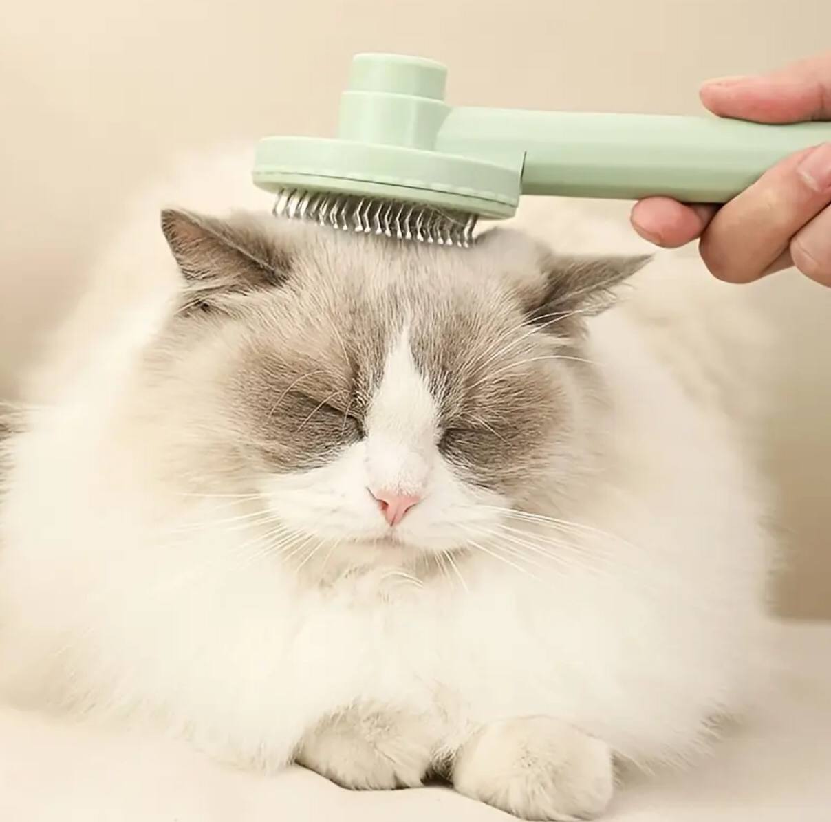 Self cleaning Massage Comb/ Hair Brush