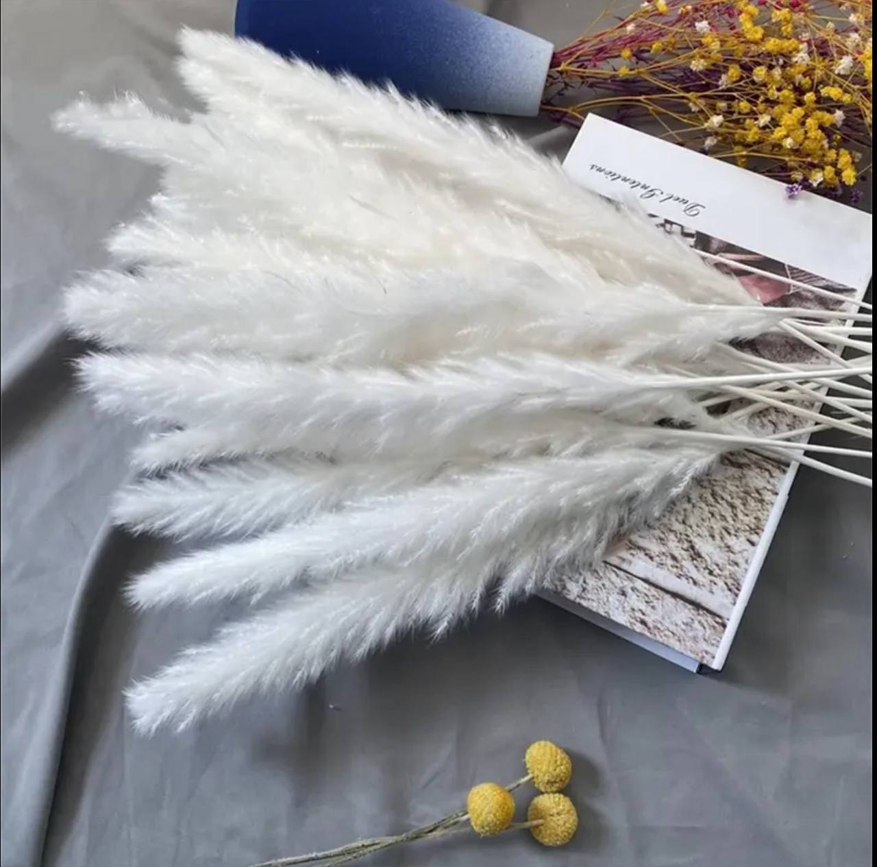 10pc Natural Dried Flowers Pampas Phragmites Rabbit Tail Grass