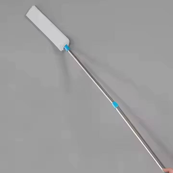 Long handle dust brush