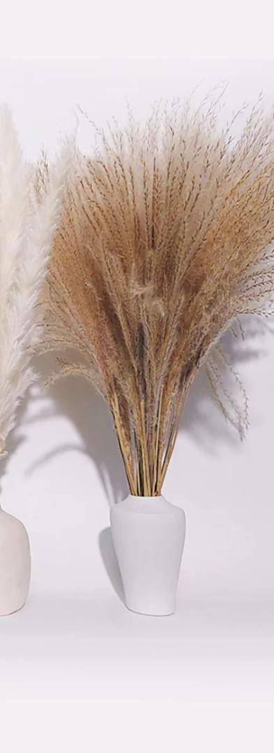 Natural Dried Reed Decorative Mini Pampas Grass