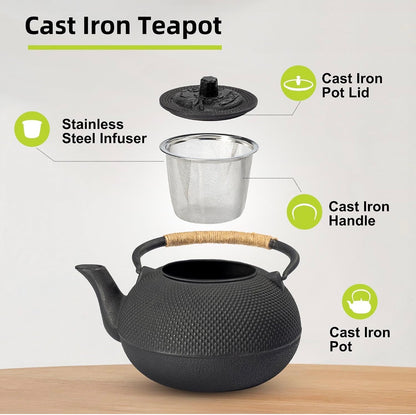 Japanese Style Cast Iron Teapot with Infuser