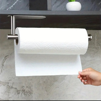 Stainless wall mounted Paper towel holder