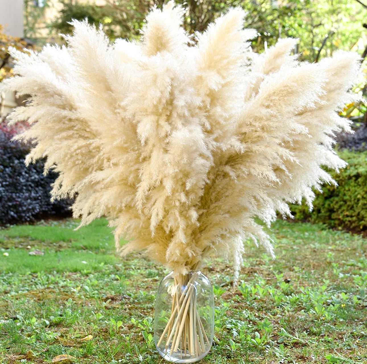 Fluffy Large Pampas Grass Decor