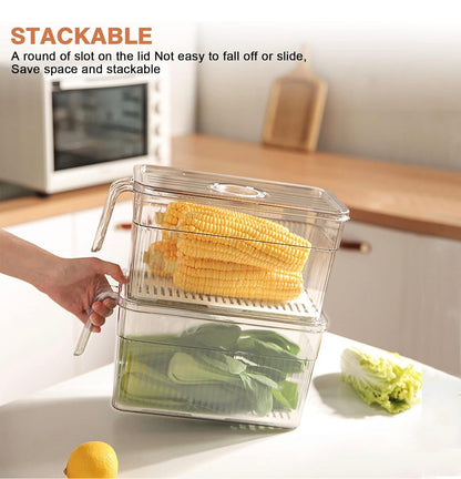 Acrylic fridge containers with handle & lid
