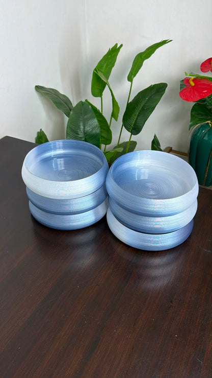 Smoky Ombre Glass Plate
6pc