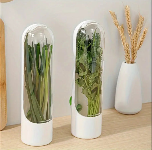 Fresh herbs fridge storage container