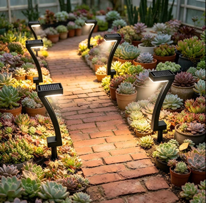 Novelty Solar Garden Pathway Lights – 6pcs Set