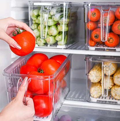 Fridge storage containers