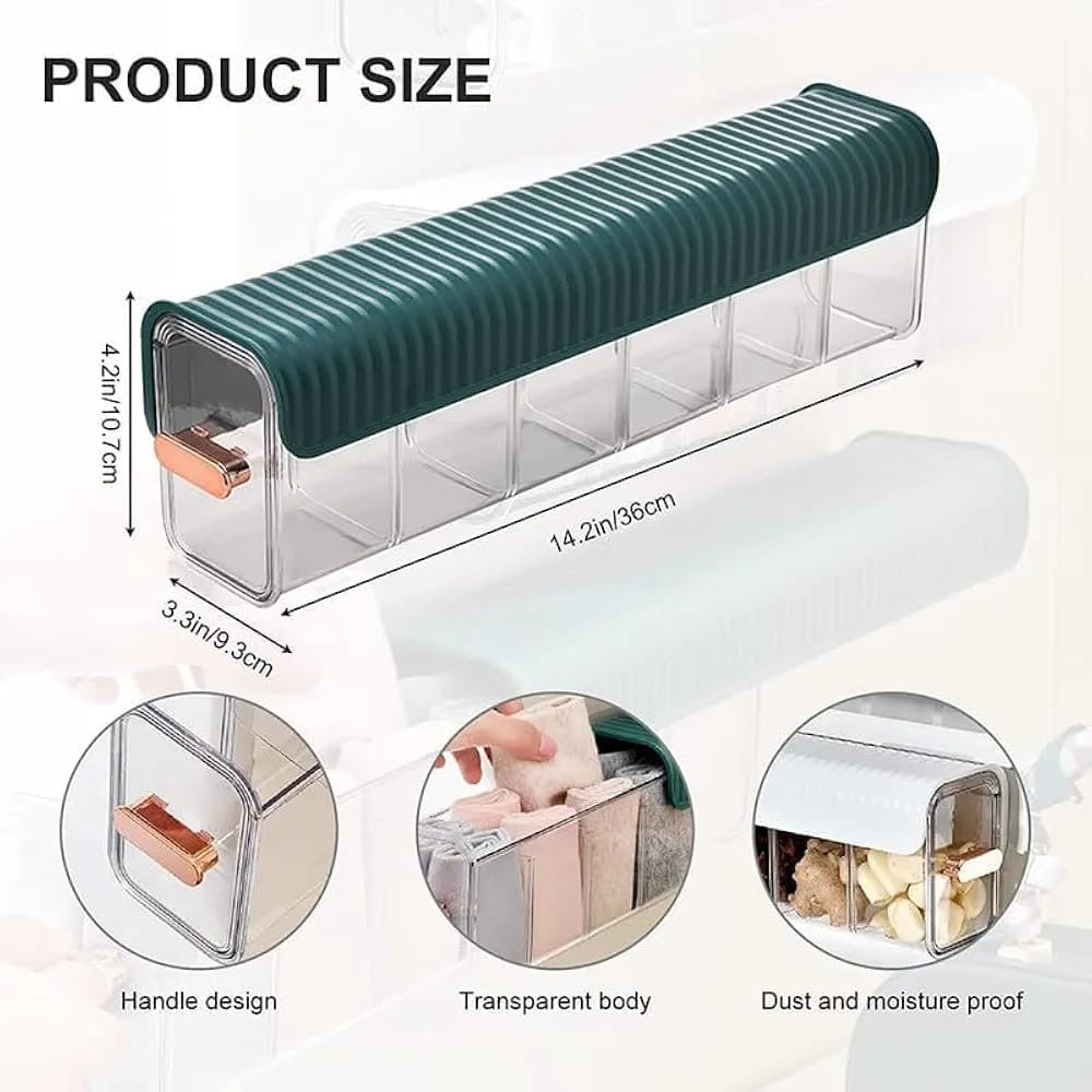 Wall Mounted Undergarment Organizer