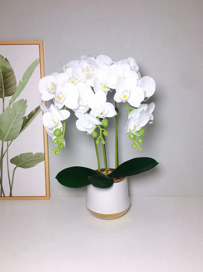 High end real touch orchid plant with ceramic pot and white stones