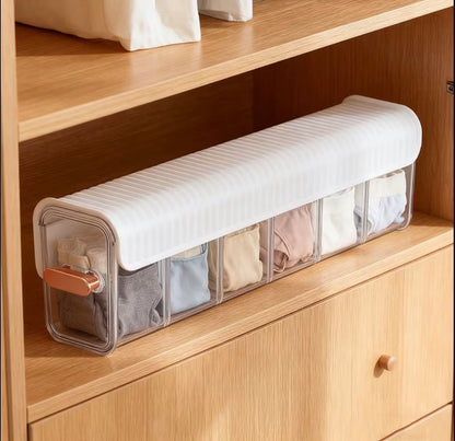 Wall Mounted Undergarment Organizer