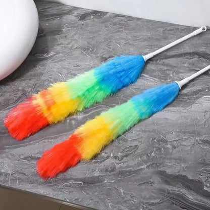 Rainbow duster/whisker