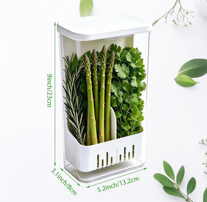 airtight Herb storage box