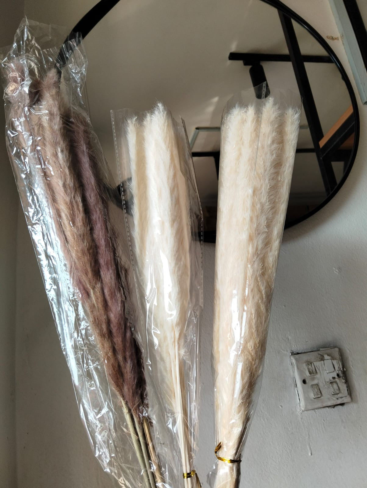 Dried  mini pampas grass 10 pieces