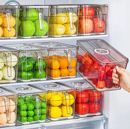 Fridge storage containers