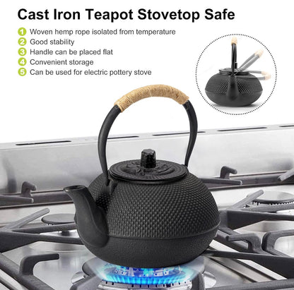 Japanese Style Cast Iron Teapot with Infuser