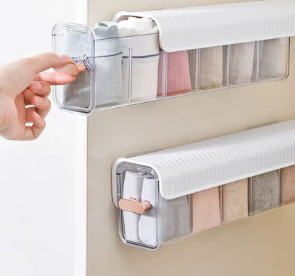 Wall Mounted Undergarment Organizer