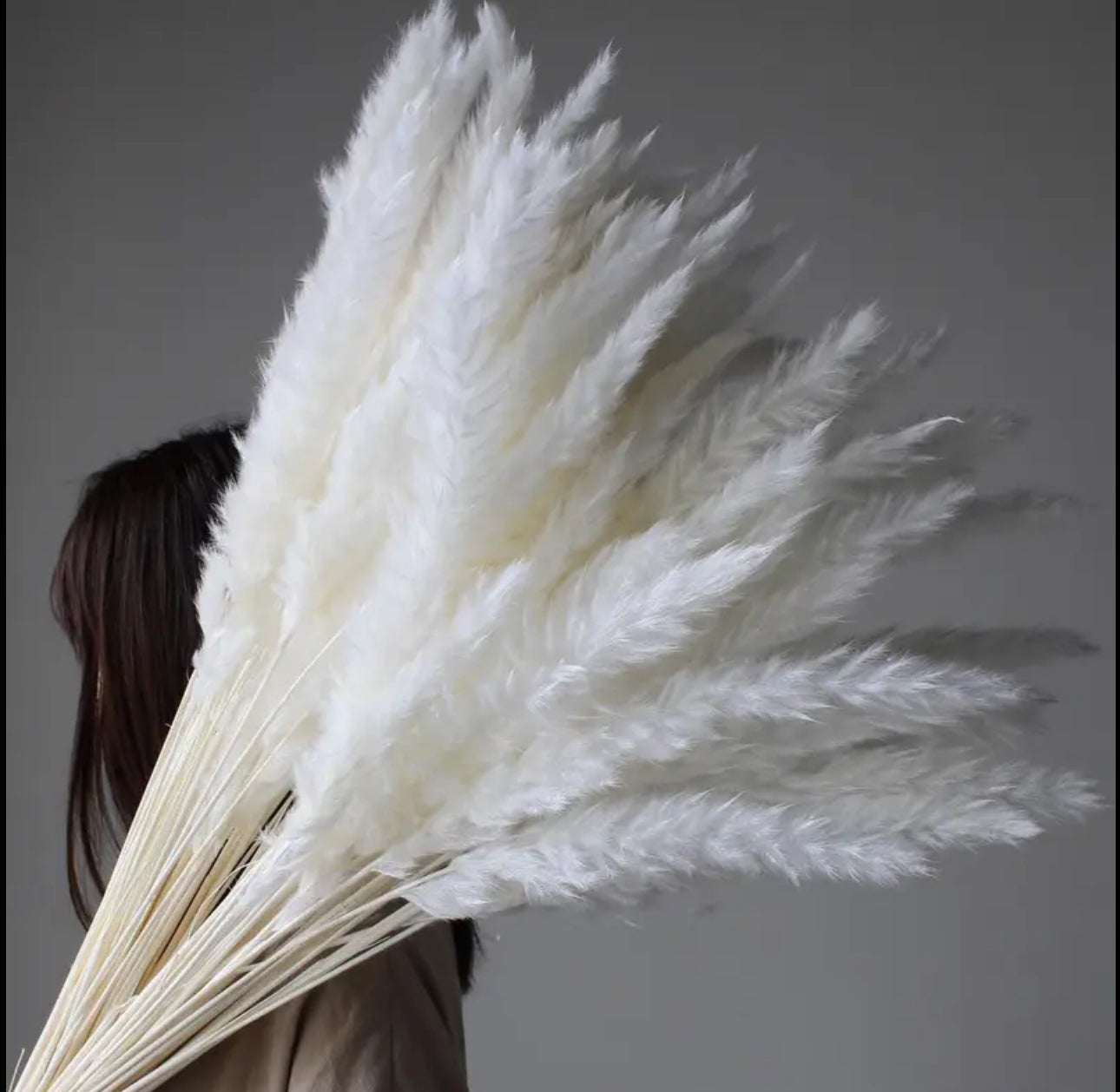 Fluffy Large Pampas Grass Decor