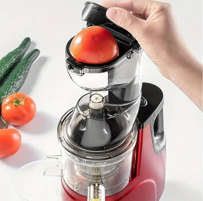 Electric Slow Juicer