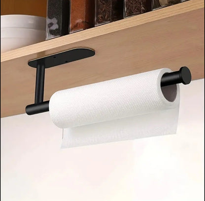 Stainless wall mounted Paper towel holder