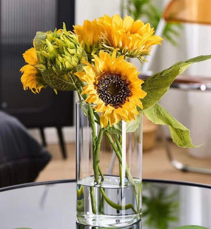 Modern creative clear  glass vase