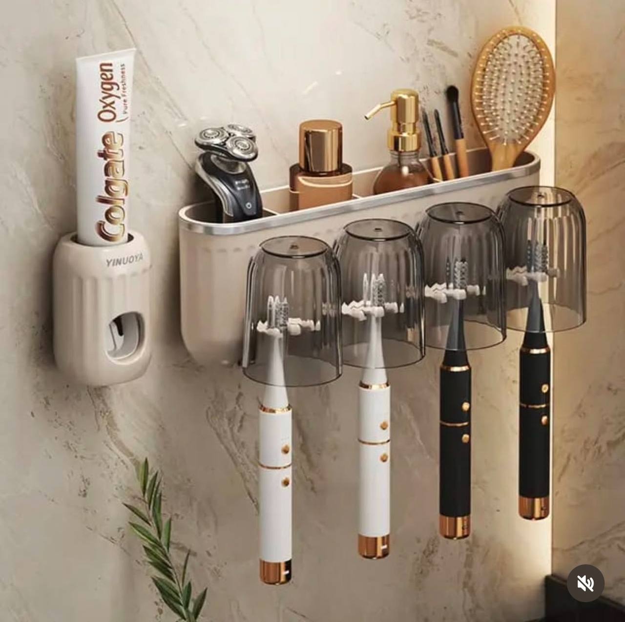 Toothbrush organiser with toothpaste dispenser