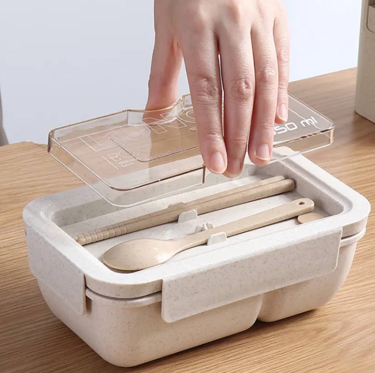 BENTO LUNCH BOX WITH 2 COMPARTMENT AND SPOONS