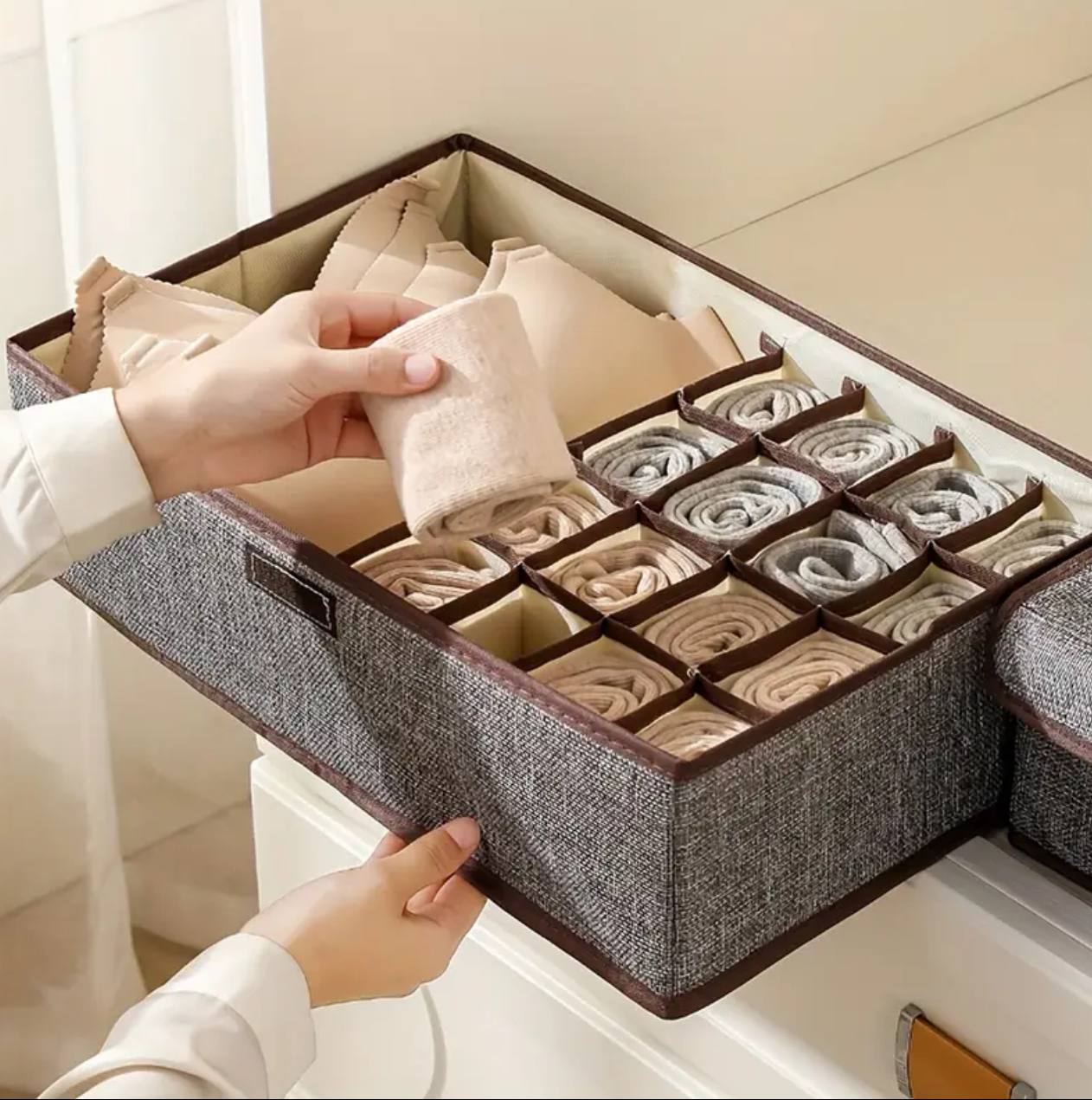 Garment organizer with cover