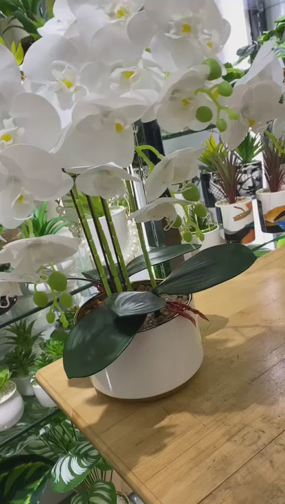 High end real touch orchid plant with ceramic pot and white stones