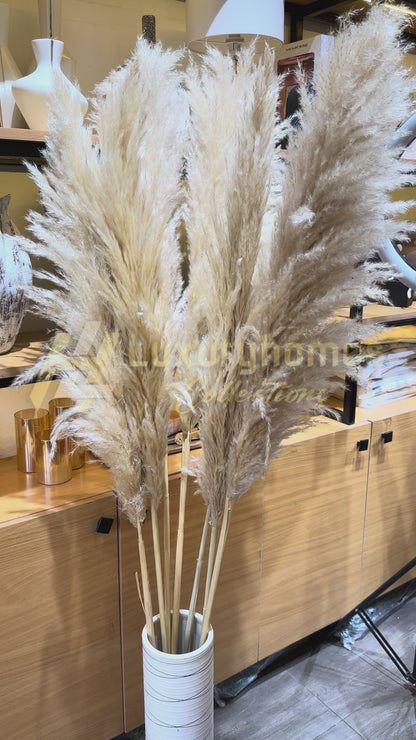 Big pampas grass 1.2m long natural