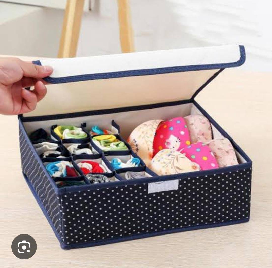 Foldable 13 Grid under garment organizer (12 panties or socks + 1 slot for 3-6 bra)
