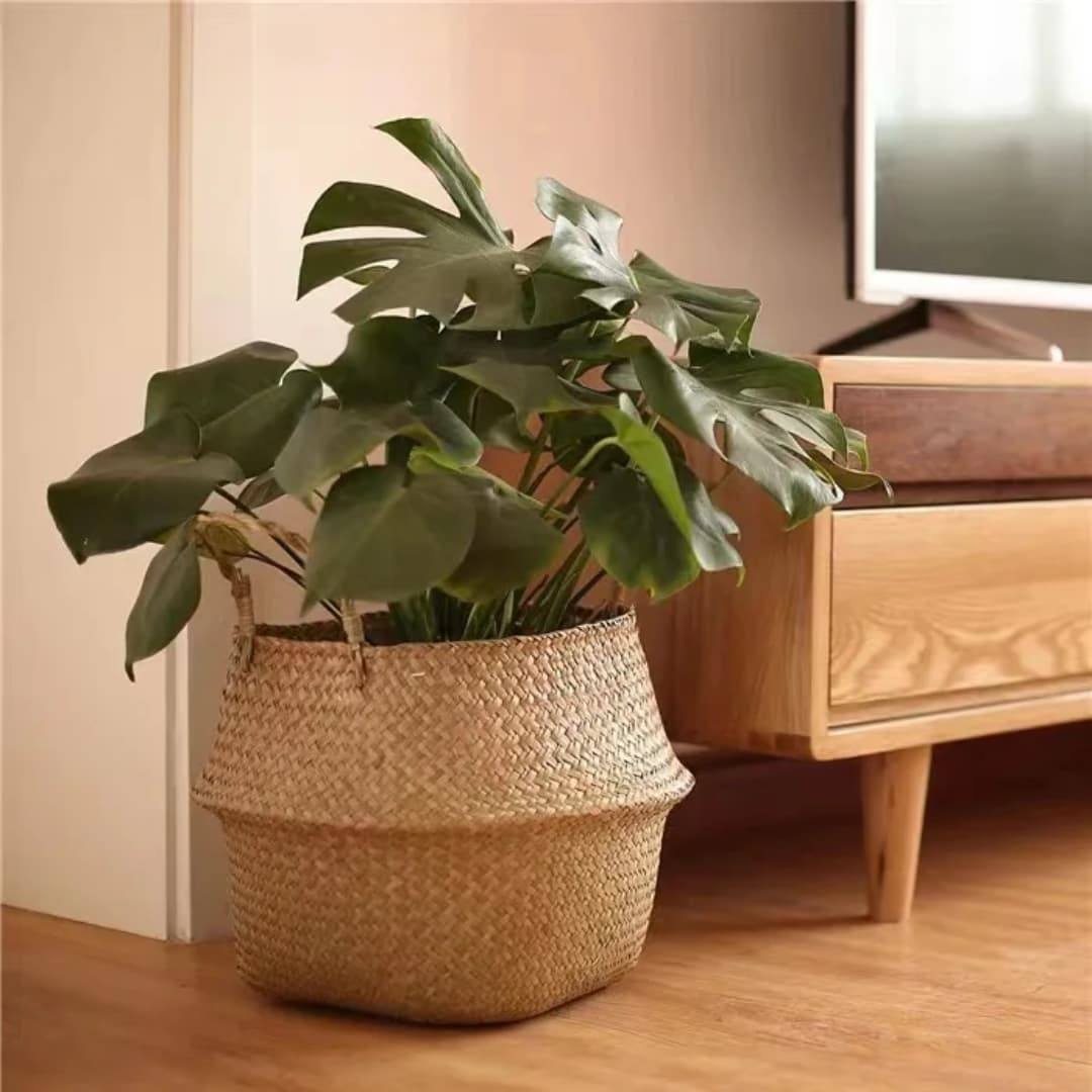Seagrass Rattan Storage Basket