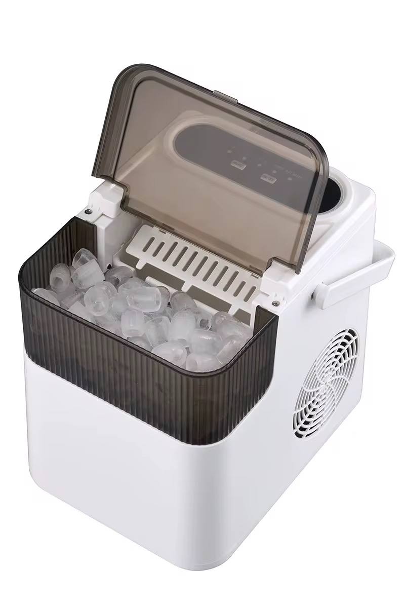 Ice maker