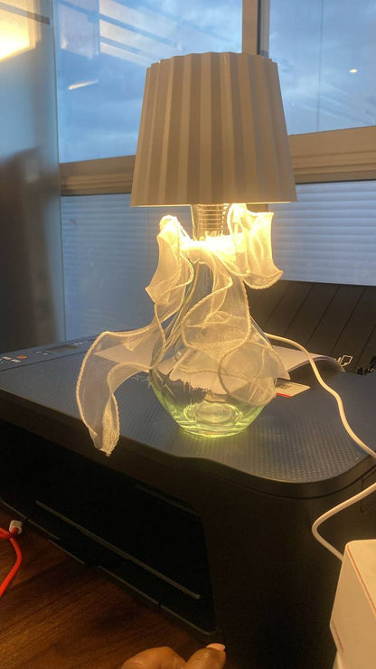 Wireless LED Bottle Lamp with Ribbon