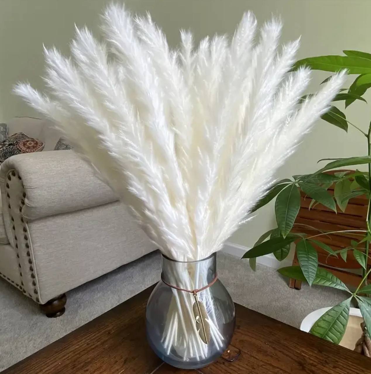 10pc Natural Dried Flowers Pampas Phragmites Rabbit Tail Grass