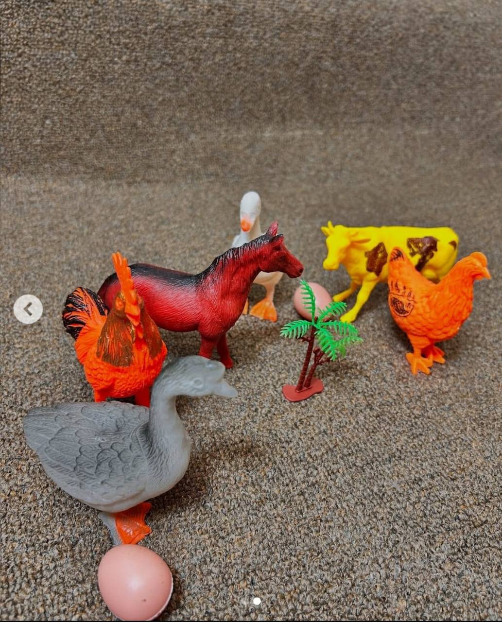 CBC Learning Farm Animals