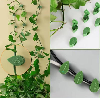 Creative DIY Climbing Wall Fixture Clips