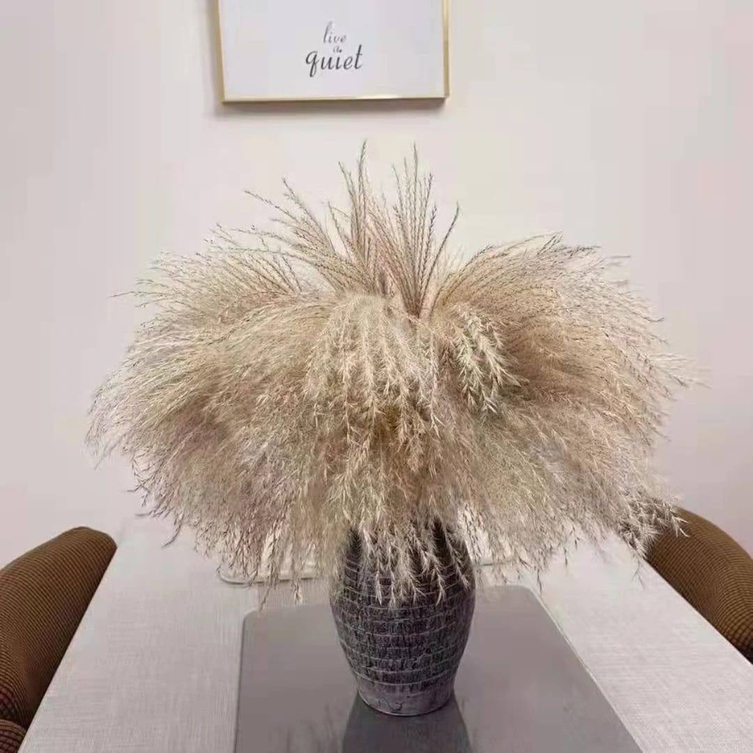 Natural Dried Reed  Decorative Mini Pampas Grass