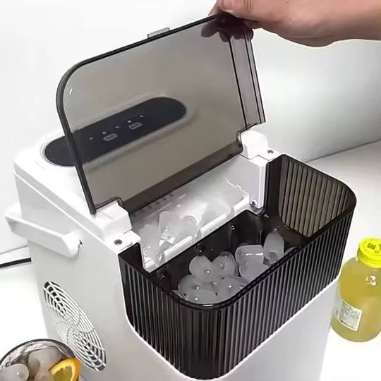 Ice maker