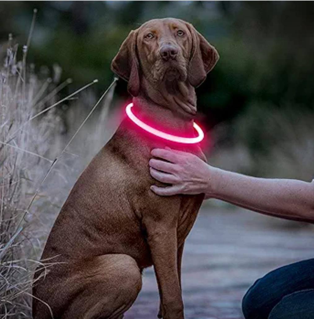 Rechargeable Light Up Pets Collars