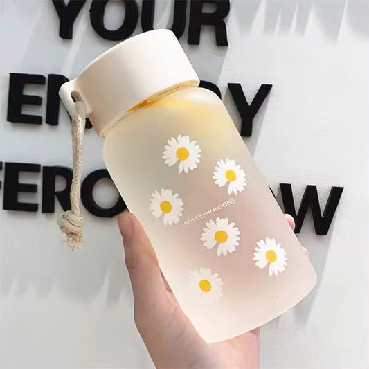 Cute transparent water bottles