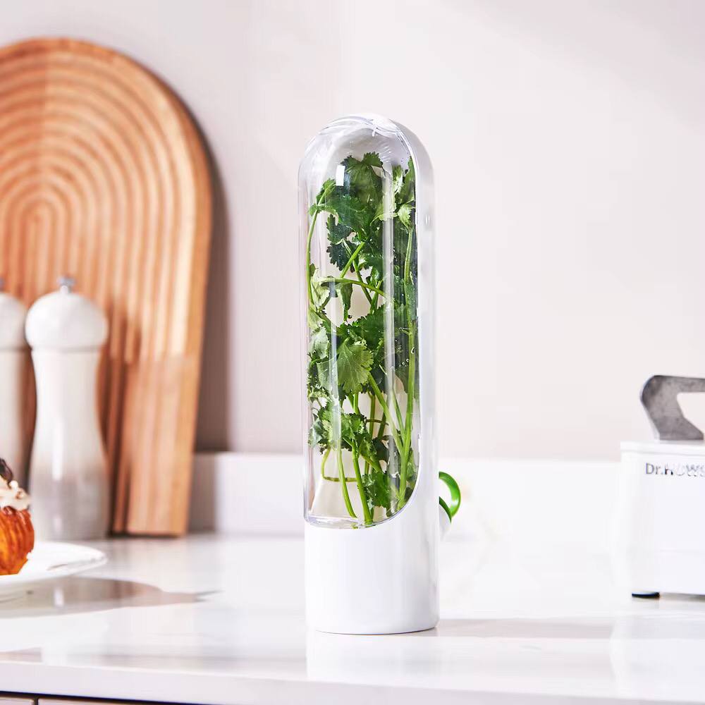 Fresh herbs fridge storage container