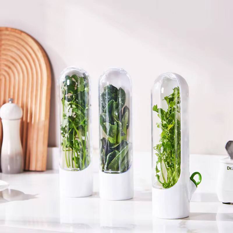 Fresh herbs fridge storage container