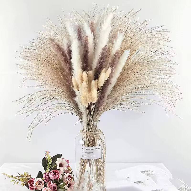 Natural Dried Reed  Decorative Mini Pampas Grass