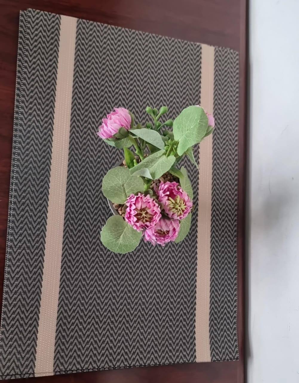 Woven PVC TABLE  MATs l