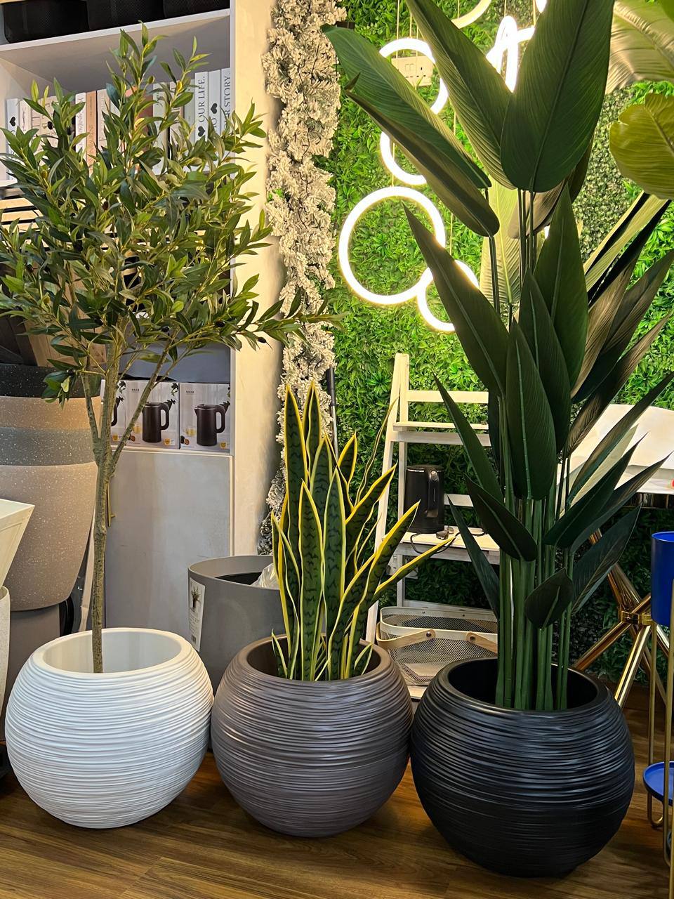 Premium  minimalist design flower planters