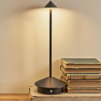 Rechargeable touch Led table lamps for home bedside,hotel,bar and restaurants