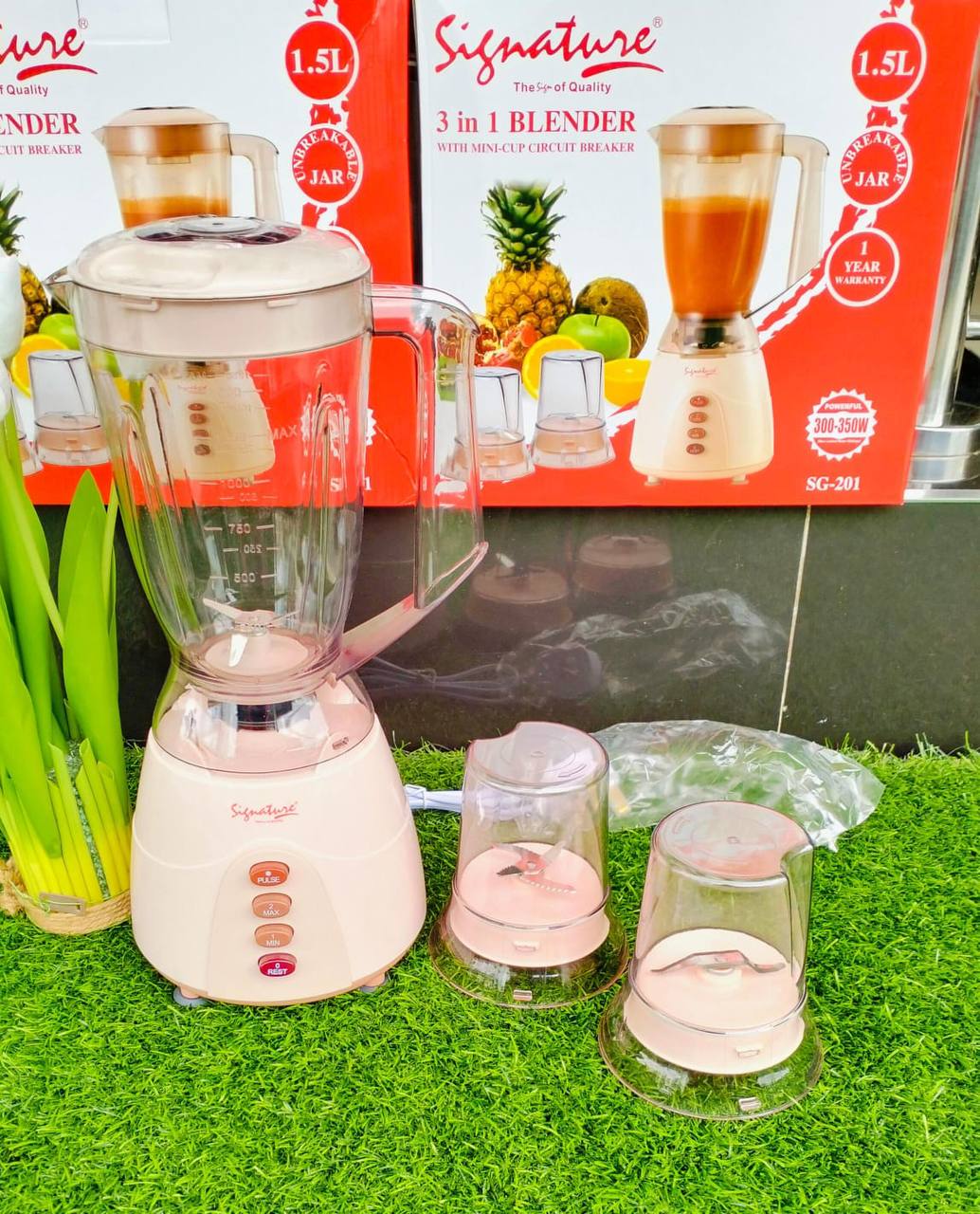 3 in 1 Signature Blender