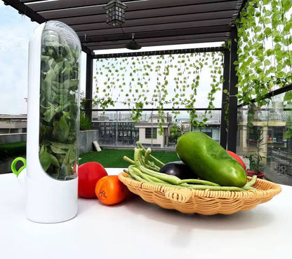 Fresh herbs fridge storage container