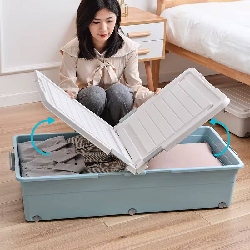 Under-bed storage Boxes